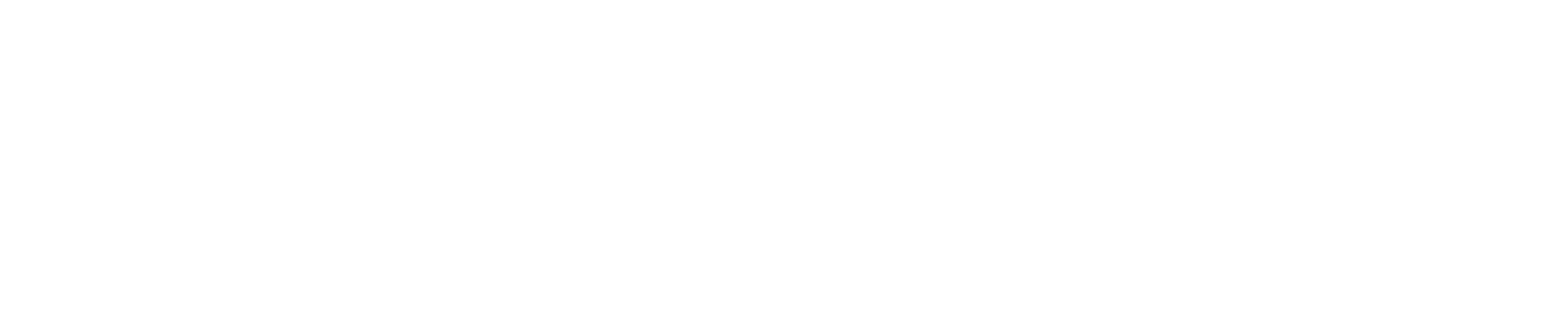Intellect logo